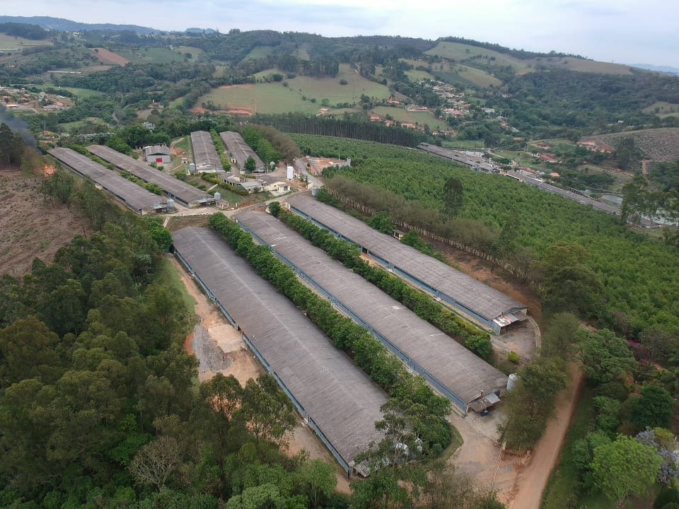 Rural - Venda - Morro Grande da Boa Vista - Bragana Paulista - SP